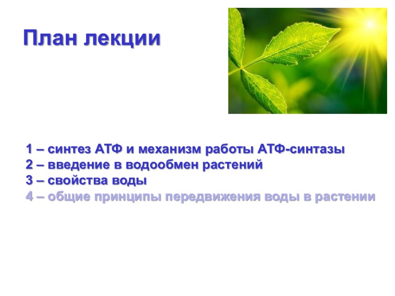 1 – синтез АТФ и механизм работы АТФ-синтазы 2 – введение в водообмен растений